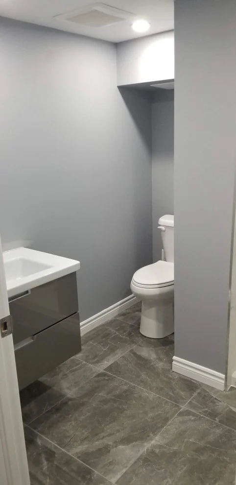 Small grey bathroom with floating vanity, white sink, toilet and dark plank floor tile